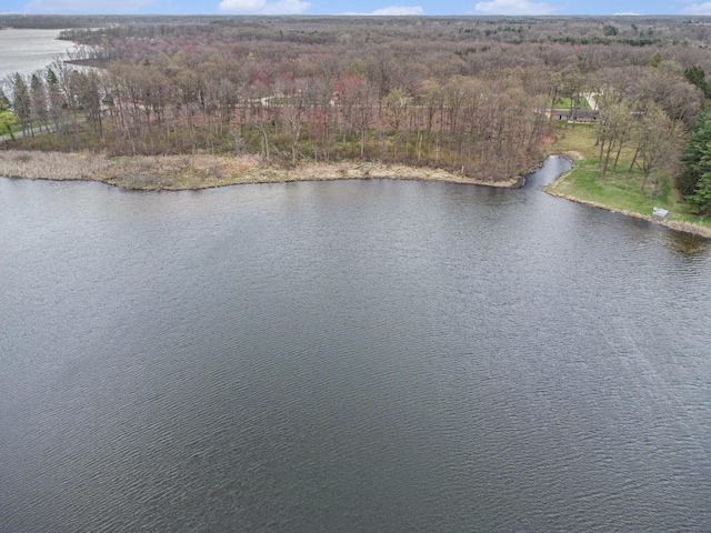 15842 Portage Rd, Vicksburg, MI 49097 - drone / aerial view of a large body of water and a heavily wooded area