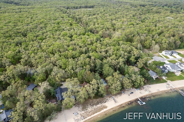 6789 W 76th St, Baldwin, MI 49304 - aerial view of a forest and a large body of water