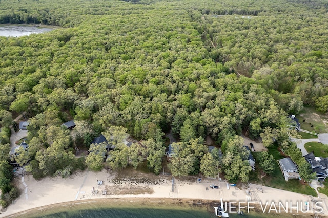 6789 W 76th St, Baldwin, MI 49304 - bird's eye view of a forest and a nearby body of water