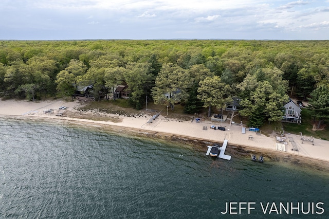 6789 W 76th St, Baldwin, MI 49304 - aerial view of a heavily wooded area and a large body of water