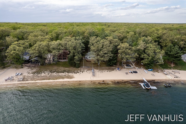 6789 W 76th St, Baldwin, MI 49304 - bird's eye view of a heavily wooded area and a nearby body of water