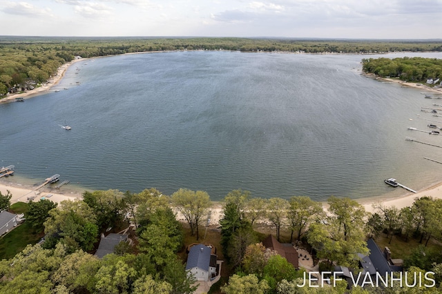 6789 W 76th St, Baldwin, MI 49304 - aerial view of a large body of water and a heavily wooded area