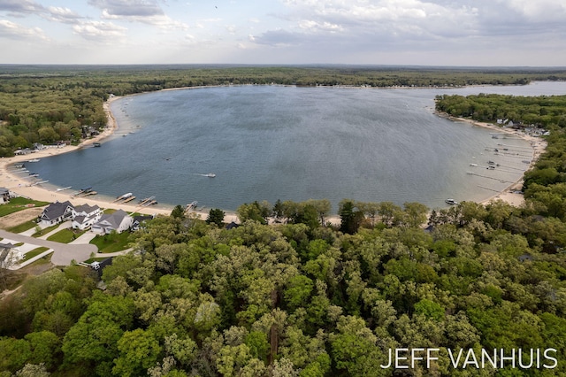 6789 W 76th St, Baldwin, MI 49304 - drone / aerial view of a forest and a nearby body of water