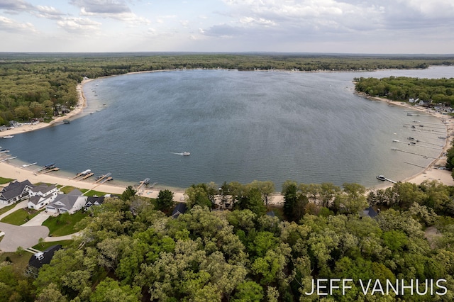 6789 W 76th St, Baldwin, MI 49304 - aerial view of a nearby body of water and a heavily wooded area