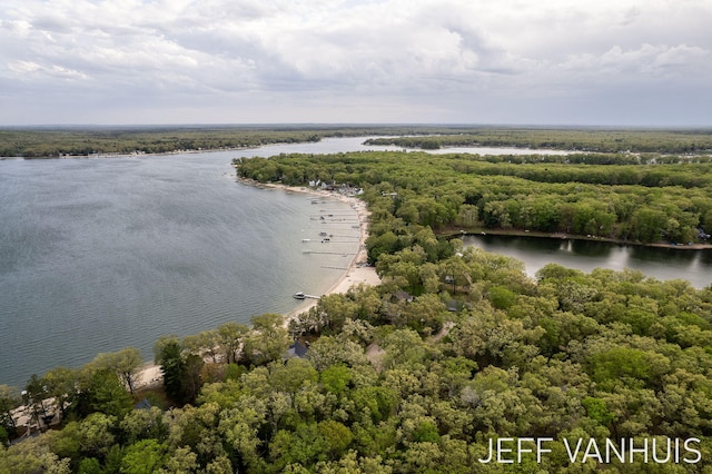 6789 W 76th St, Baldwin, MI 49304 - bird's eye view of a large body of water and a heavily wooded area