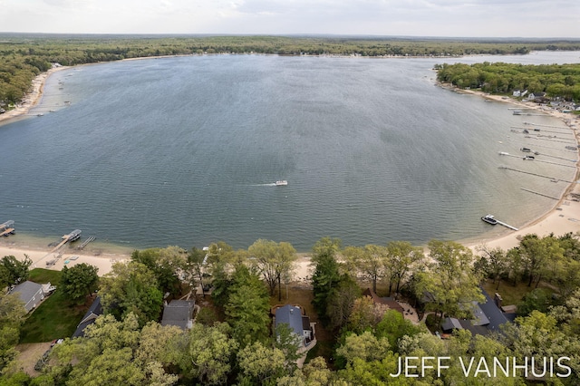 6789 W 76th St, Baldwin, MI 49304 - view of property location featuring a nearby body of water and a heavily wooded area