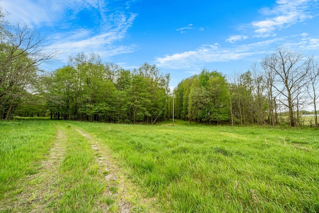 18731 Williamsville St, Cassopolis, MI 49031