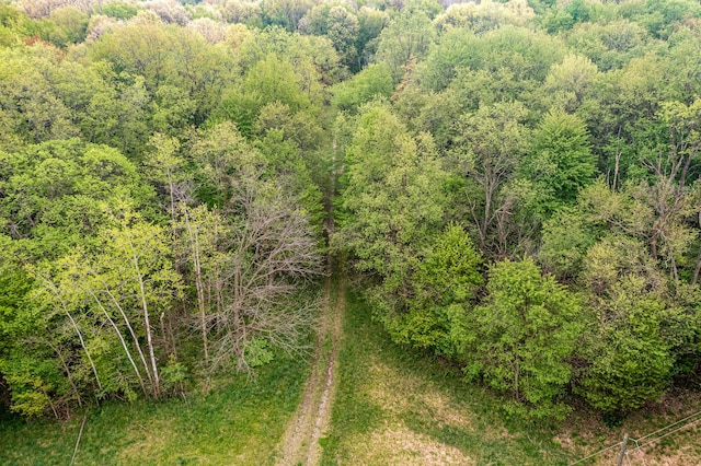 18731 Williamsville St, Cassopolis, MI 49031