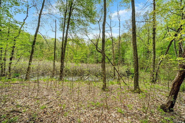 18731 Williamsville St, Cassopolis, MI 49031