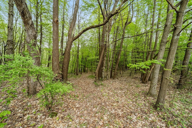 18731 Williamsville St, Cassopolis, MI 49031