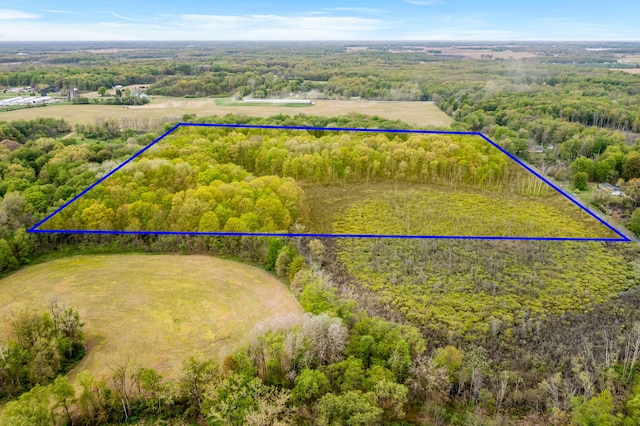 18731 Williamsville St, Cassopolis, MI 49031