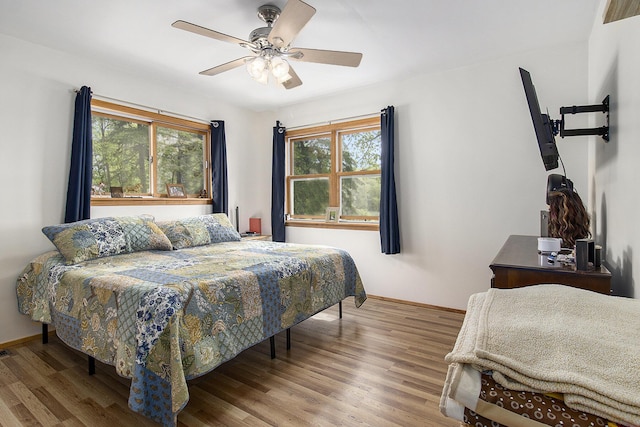5729 N Bass Lake Rd, Irons, MI 49644 - bedroom with multiple windows, wood finished floors, and baseboards