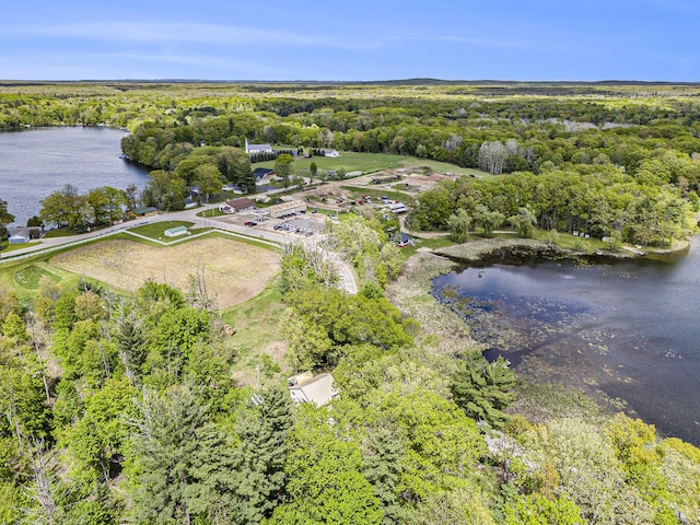 5729 N Bass Lake Rd, Irons, MI 49644 - aerial view of a large body of water and a forest