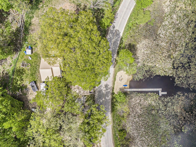 5729 N Bass Lake Rd, Irons, MI 49644 - drone / aerial view of a nearby body of water