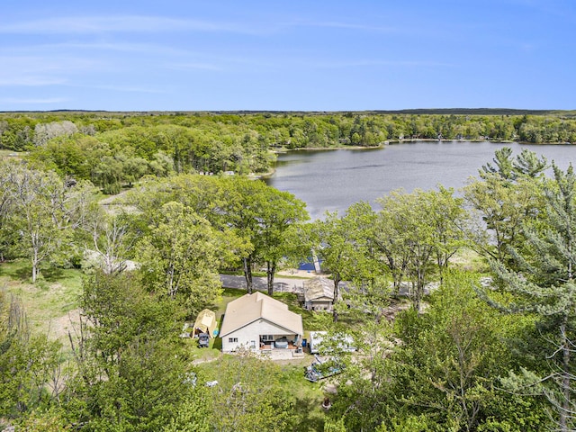 5729 N Bass Lake Rd, Irons, MI 49644 - aerial view of property and surrounding area featuring a large body of water and a heavily wooded area
