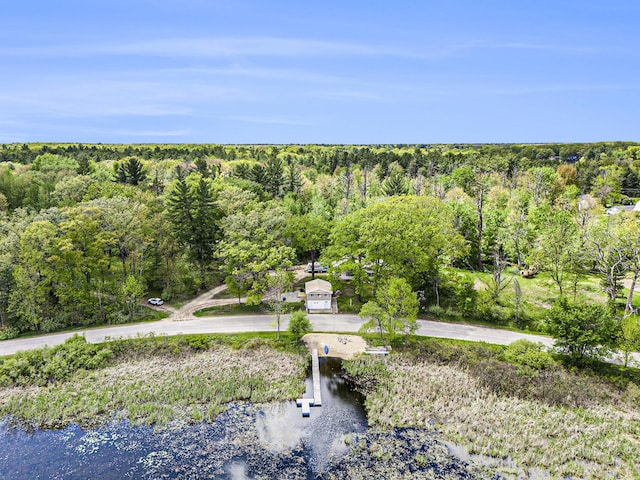 5729 N Bass Lake Rd, Irons, MI 49644 - aerial view of a heavily wooded area