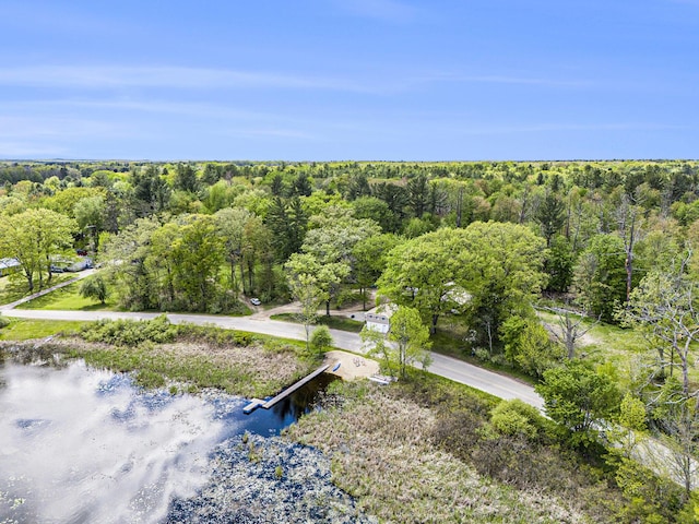 5729 N Bass Lake Rd, Irons, MI 49644 - drone / aerial view of a forest