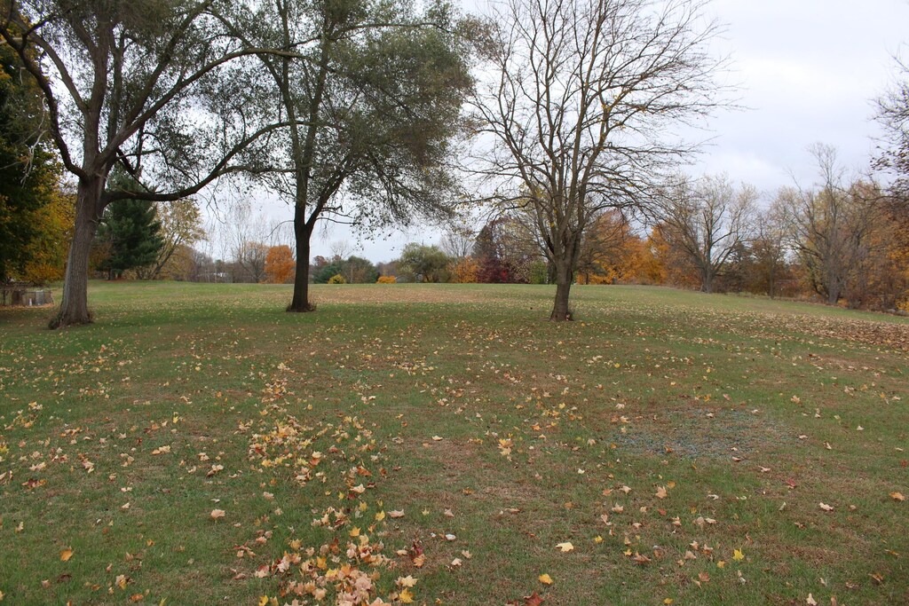 0 Wolf Lake Rd, Grass Lake, MI 49240