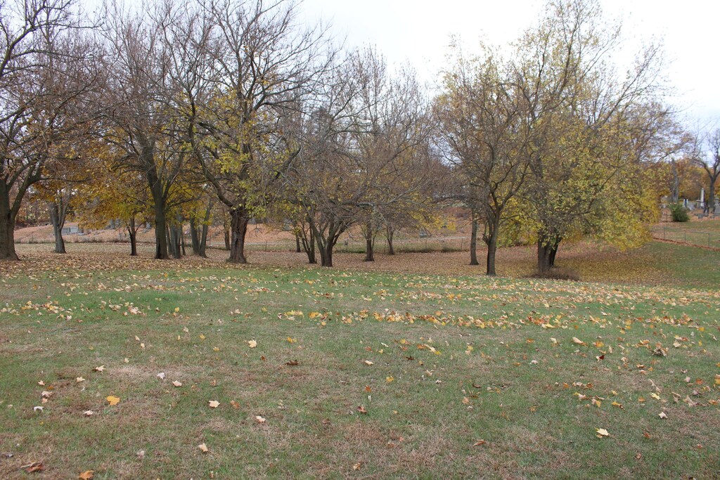 0 Wolf Lake Rd, Grass Lake, MI 49240