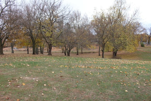 0 Wolf Lake Rd, Grass Lake, MI 49240