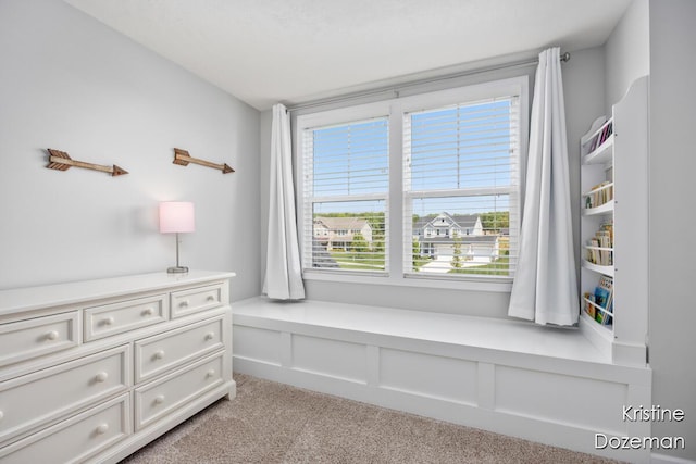 12036 Harvest Home Dr, Lowell, MI 49331 - sitting room with light carpet