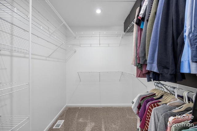 12036 Harvest Home Dr, Lowell, MI 49331 - walk in closet with carpet floors