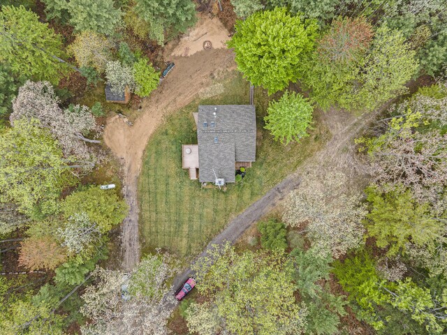 4900 N Railroad Ave, Pentwater, MI 49449 - aerial view of property and surrounding area