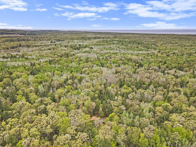 4900 N Railroad Ave, Pentwater, MI 49449 - drone / aerial view of a heavily wooded area