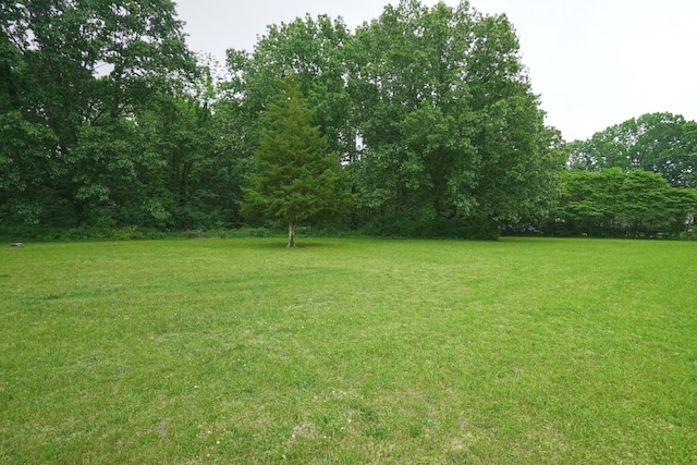879 Carberry Rd, Niles, MI 49120 - view of grassy yard