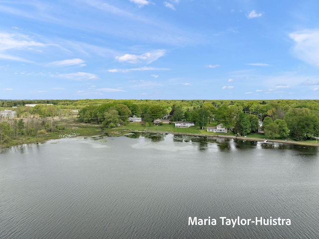 16040 Robrick Ave, Grand Haven, MI 49417 - photo 13