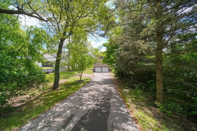 10771 Woodbrook Dr, Cement City, MI 49233 - photo 72