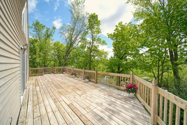 10771 Woodbrook Dr, Cement City, MI 49233 - photo 48