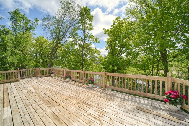 10771 Woodbrook Dr, Cement City, MI 49233 - photo 50