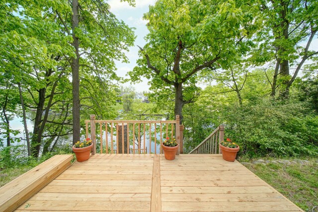 10771 Woodbrook Dr, Cement City, MI 49233 - photo 58