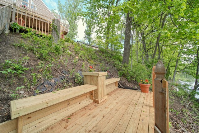 10771 Woodbrook Dr, Cement City, MI 49233 - photo 59