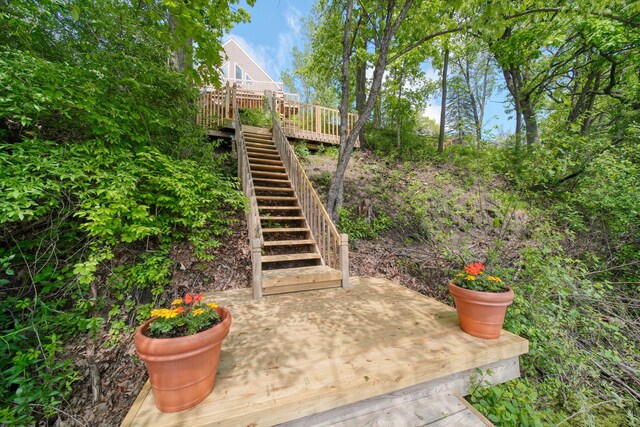 10771 Woodbrook Dr, Cement City, MI 49233 - photo 60