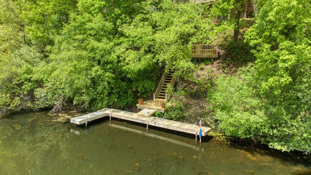 10771 Woodbrook Dr, Cement City, MI 49233 - photo 68