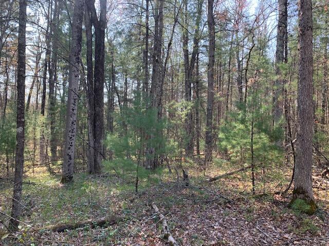 V/L S Merrilleville Rd, Baldwin, MI 49304