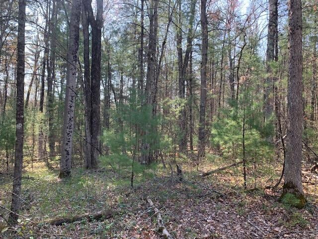 V/L S Merrilleville Rd, Baldwin, MI 49304
