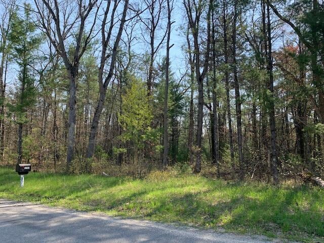 V/L S Merrilleville Rd, Baldwin, MI 49304