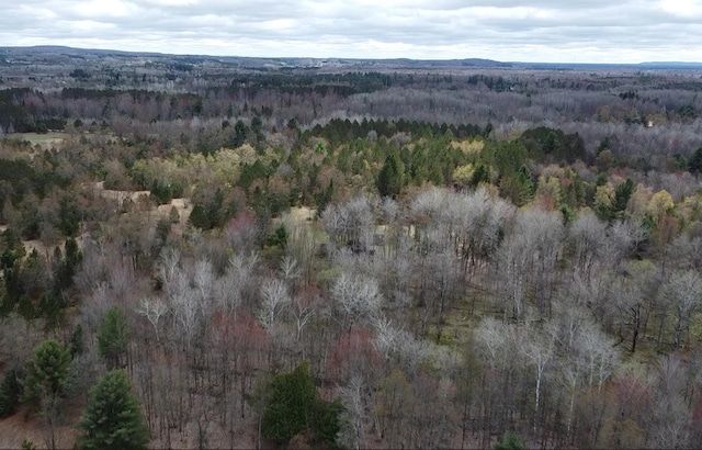 15744 Creamery Rd, Kaleva, MI 49645