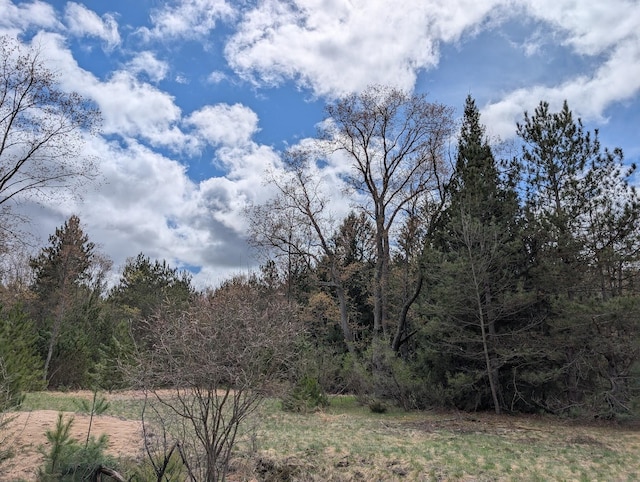 15744 Creamery Rd, Kaleva, MI 49645