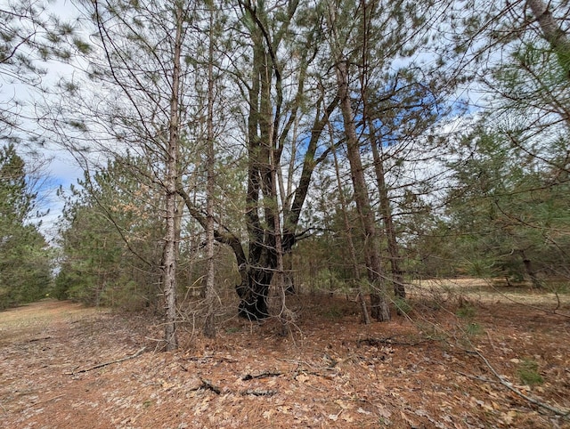 15744 Creamery Rd, Kaleva, MI 49645