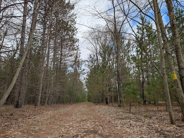 15744 Creamery Rd, Kaleva, MI 49645