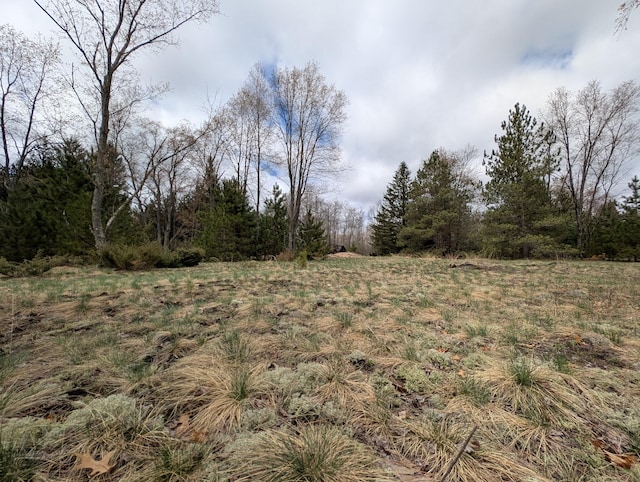 15744 Creamery Rd, Kaleva, MI 49645