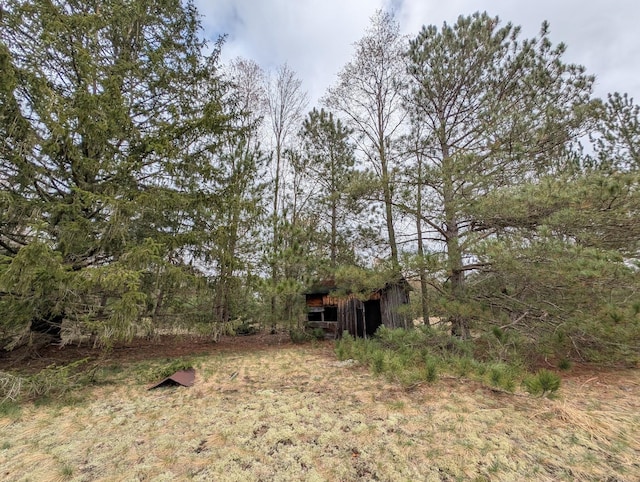 15744 Creamery Rd, Kaleva, MI 49645