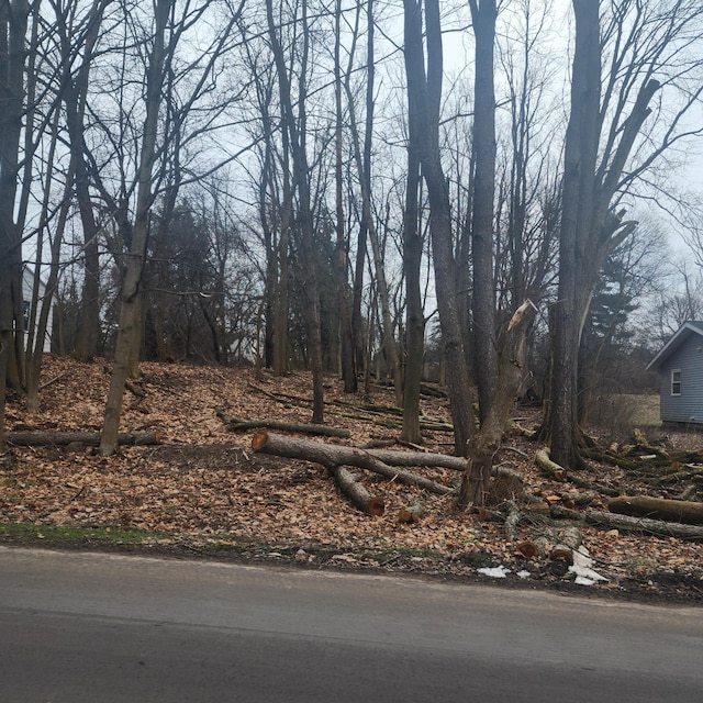 Burt Ave, Jackson, MI 49201