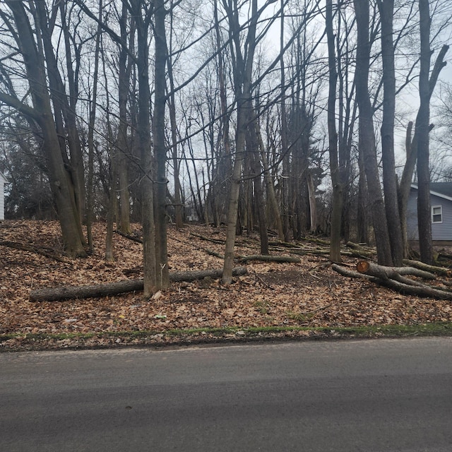 Burt Ave, Jackson, MI 49201