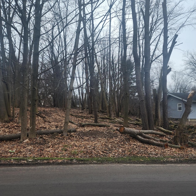 Burt Ave, Jackson, MI 49201