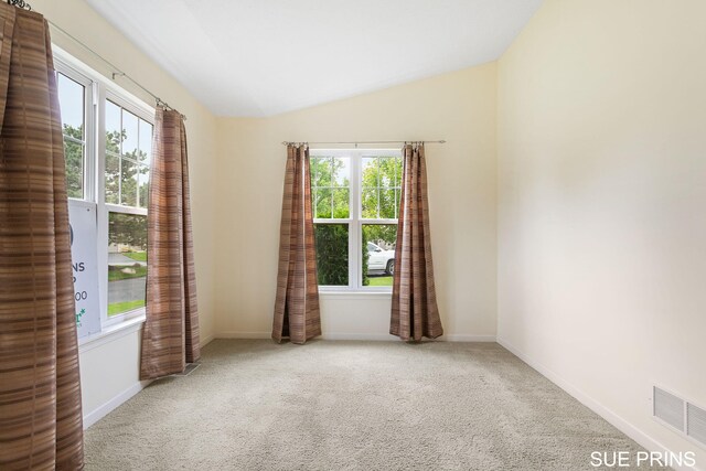 3107 Rain Tree Ct Unit 36, Hudsonville, MI 49426 - empty room with plenty of natural light, carpet floors, vaulted ceiling, and baseboards